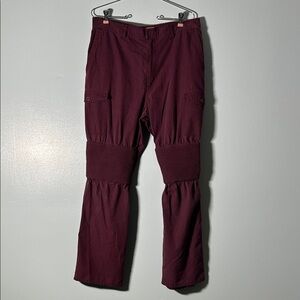 Disney Men's Avatar Burgundy Cast Member Cargo Pants with Knee Paneling